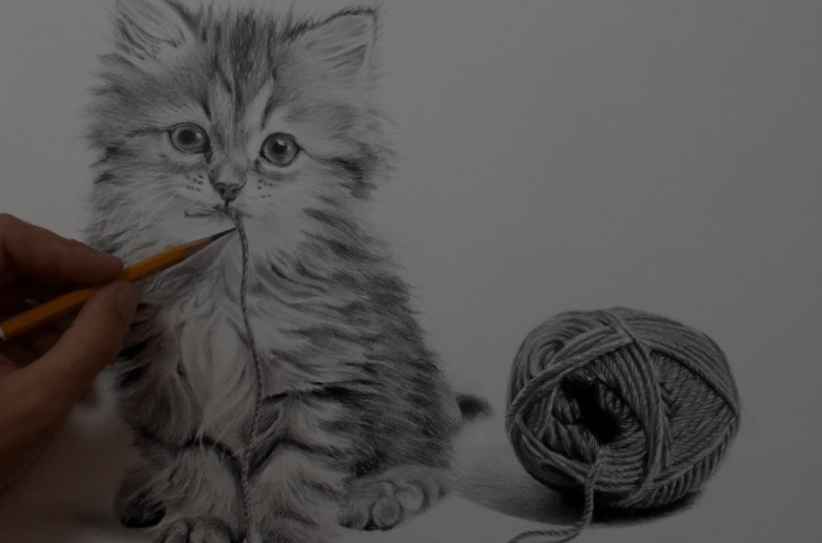 Как нарисовать кошку легко детям поэтапно карандашом. Рисунок кошка поэтапно ребенку. Как нарисовать спящую кошку, со спины. Кошка аниме.