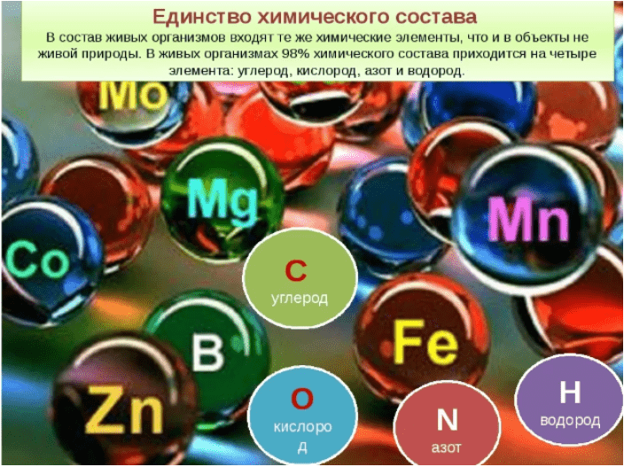 Единство химического состава. Химический состав живых организмов. Минеральные вещества. Вода. Хим состав живого вещества. Химические элементы в составе живых организмов. Элементарный состав живых организмов.