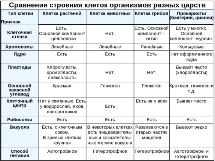 О чем свидетельствует общий план строения органов разных организмов