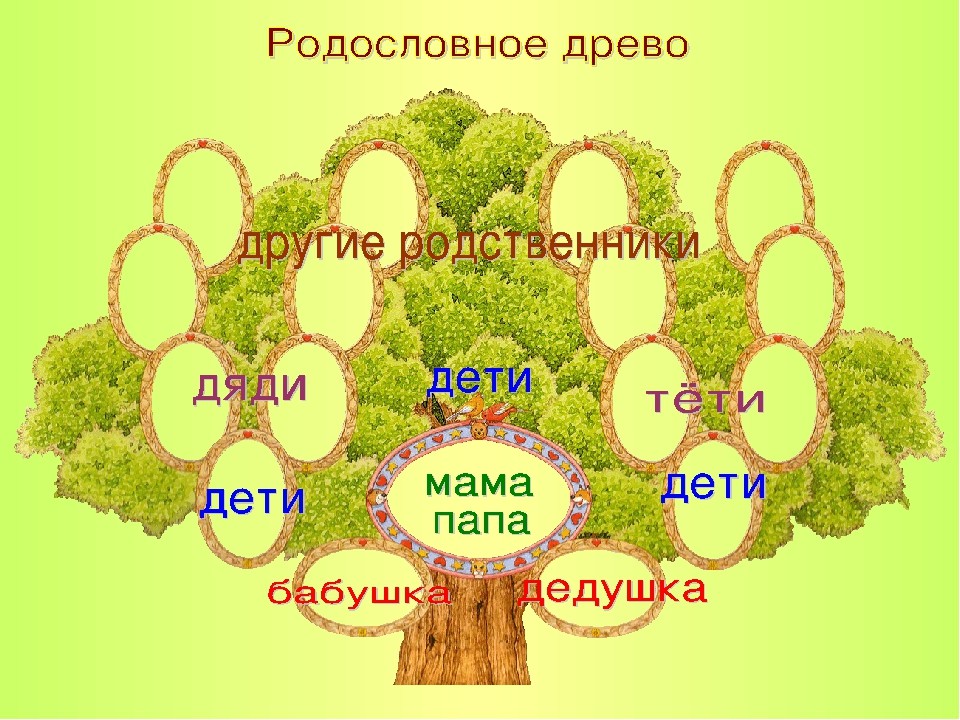 Проект семейное древо 2 класс