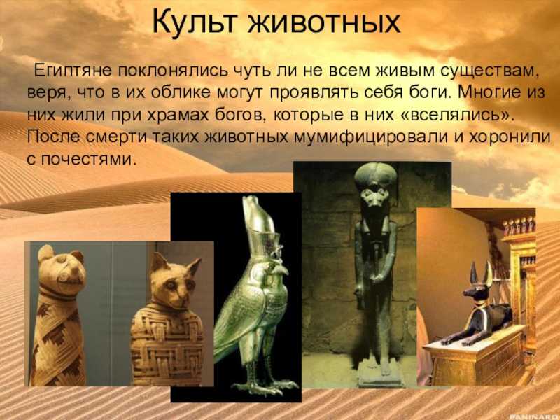 Животные в Древнем Египте
